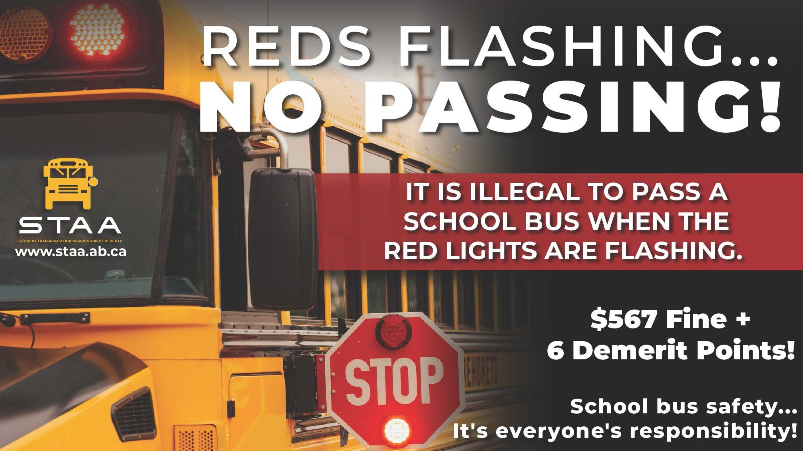 No passing when school bus red lights are flashing!